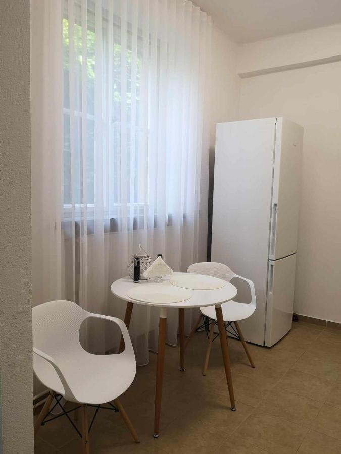 Apartman Dlouha 207 Litoměřice 외부 사진